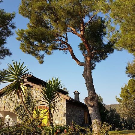 Villa Fior Di Lavanda Cisano sul Neva ภายนอก รูปภาพ