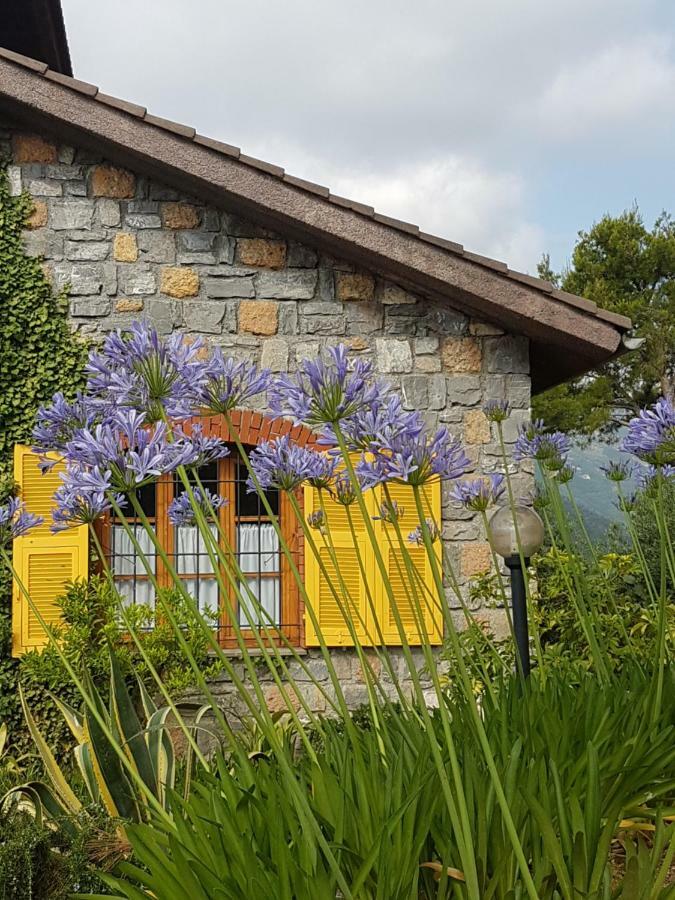 Villa Fior Di Lavanda Cisano sul Neva ภายนอก รูปภาพ