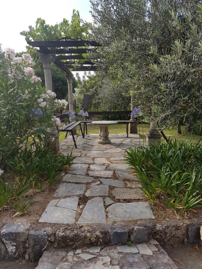 Villa Fior Di Lavanda Cisano sul Neva ภายนอก รูปภาพ