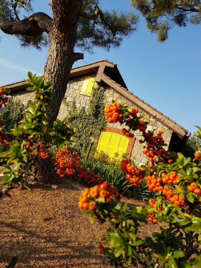 Villa Fior Di Lavanda Cisano sul Neva ภายนอก รูปภาพ