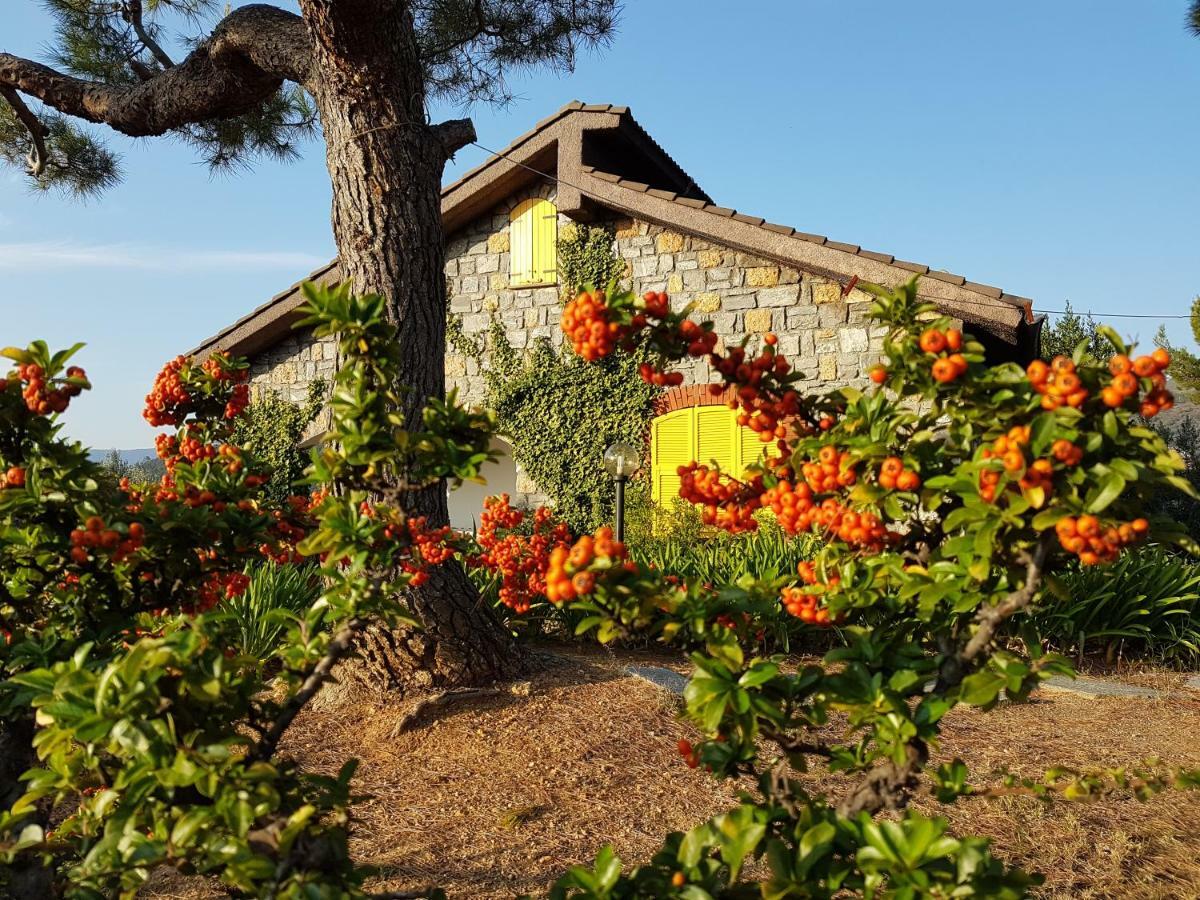 Villa Fior Di Lavanda Cisano sul Neva ภายนอก รูปภาพ